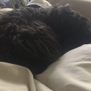 Meet your Posher, Jenny